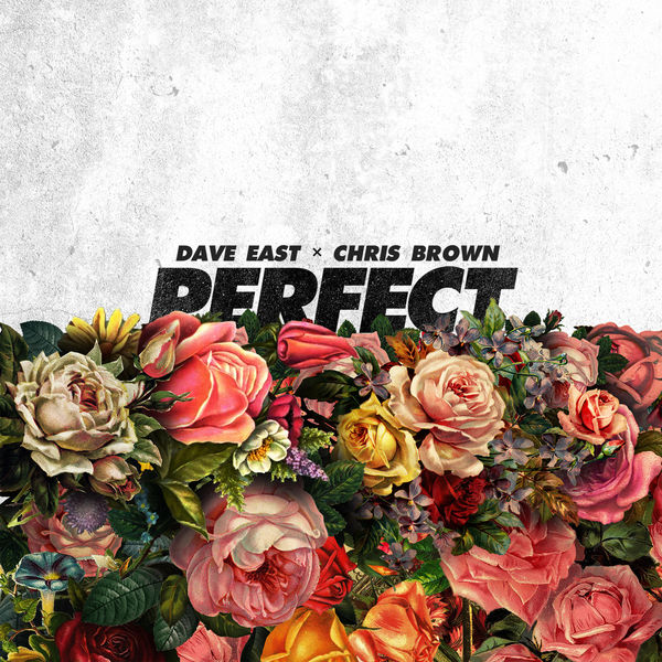 Dave East  ft Chris Brown  - Perfect