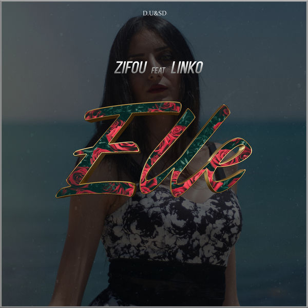 Zifou  ft Linko  - Elle