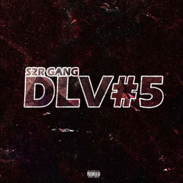 S2R Gang  - Vengeance