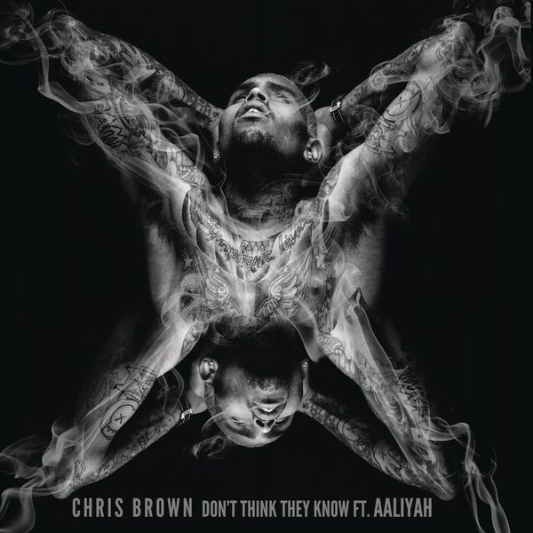 Chris Brown  ft Aaliyah  - Dont Think They Know