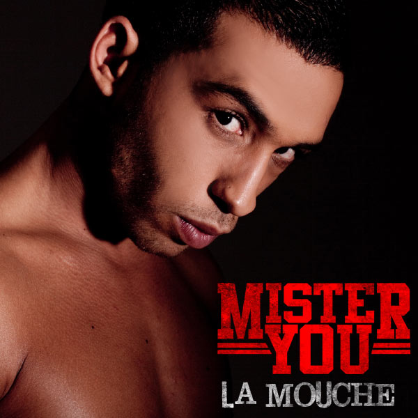 Mister You  - La Mouche