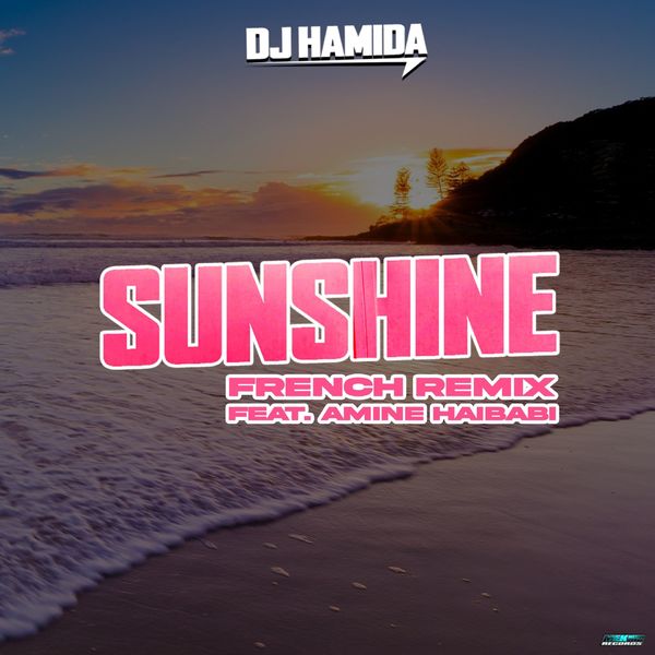 DJ Hamida  ft Amine Haibabi  - Sunshine (French)