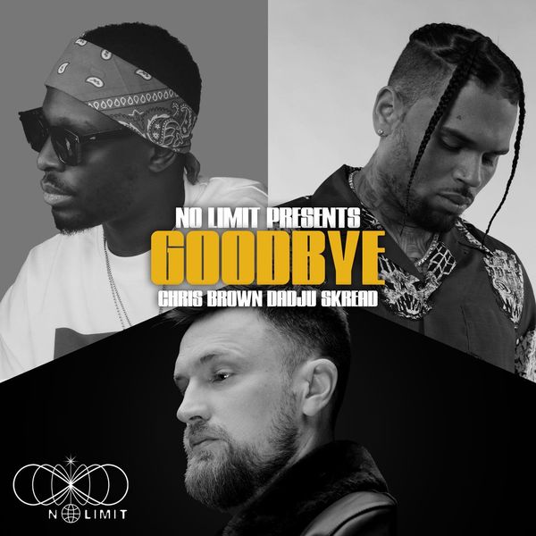 No Limit  ft Dadju  & Chris Brown  & Skread  - Goodbye