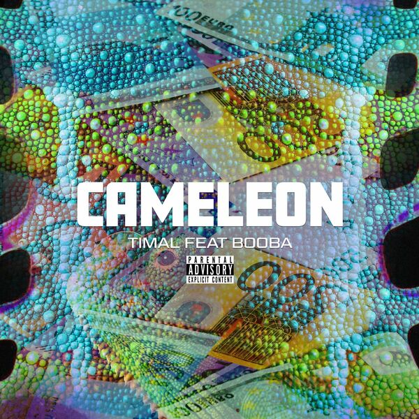 Timal  ft Booba  - Cameleon