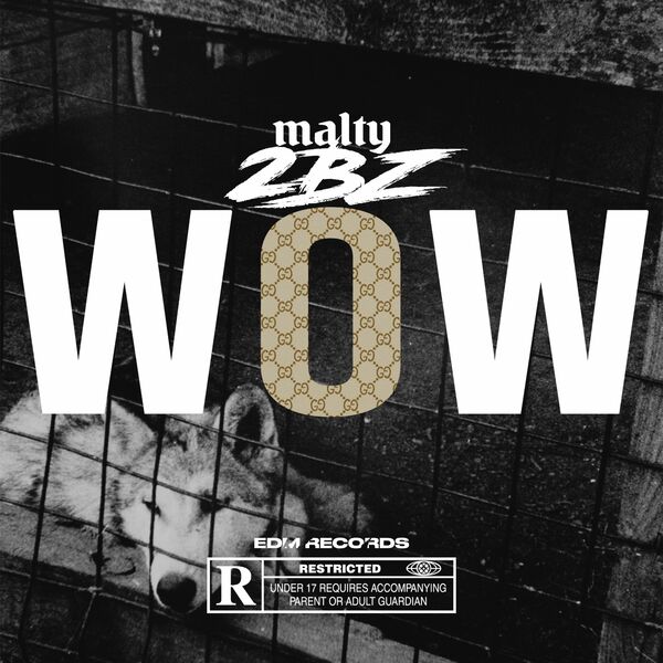 Malty 2bz  - Wow