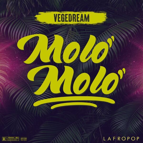 Vegedream  ft Lafropop  - Molo molo