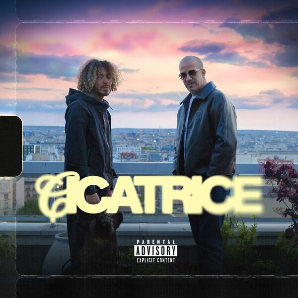 Rim'K - Cicatrice
