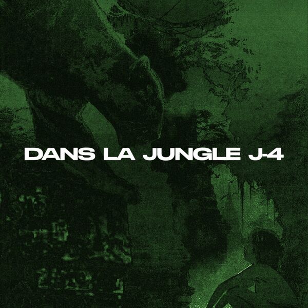 Mougli  - DANS LA JUNGLE J-4